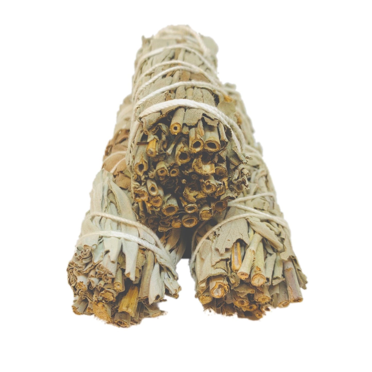 White Sage Smudge Pack of 3